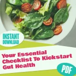 Your Essential Checklist To Kickstart Gut Health | Digital Download | Gut Health Guide | How to Improve Gut Microbiota | Wellness eBook